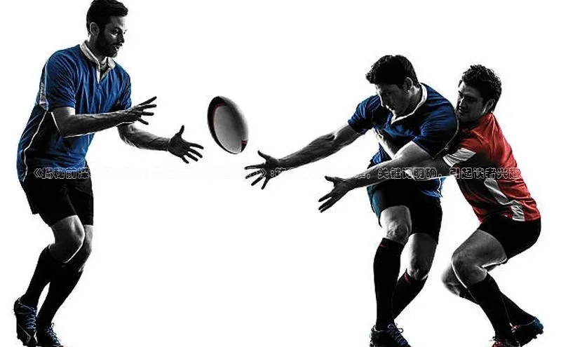 米乐yy易游体育App下载赛富乐斯《揭秘前深圳足球队15号运动员的辉煌纪录》:符合百度SEO标准，关键词明确，引起读者兴趣。