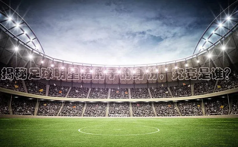 易游体育app下载文心一言揭秘足球明星猪肘子的身份，究竟是谁？