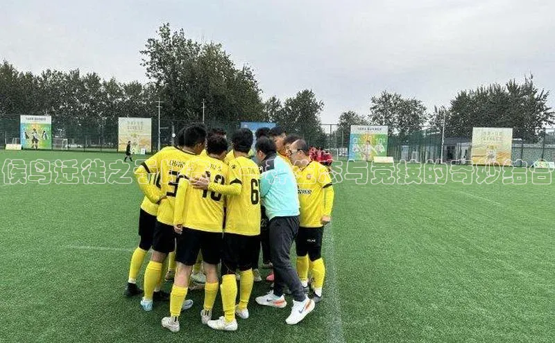 米乐m6易游网易候鸟迁徙之于比赛：一种生态与竞技的奇妙结合