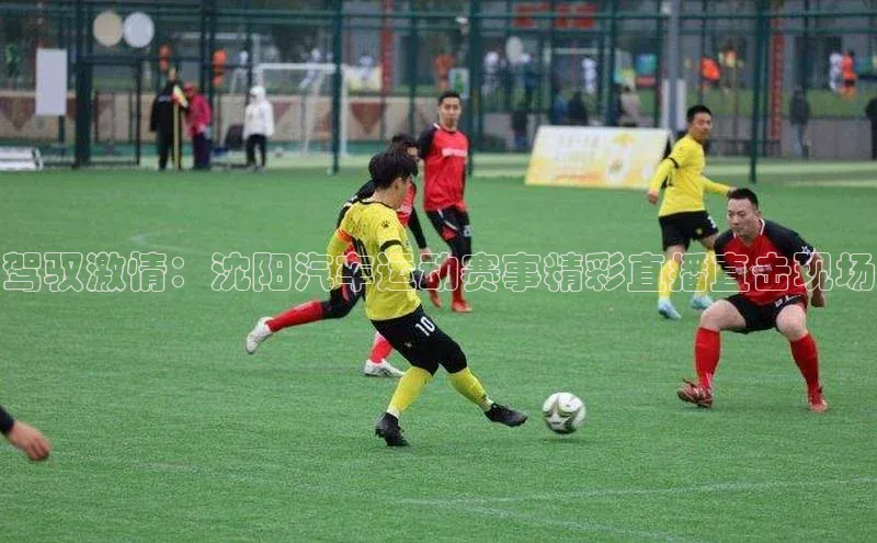 驾驭激情：沈阳汽车运动赛事精彩直播直击现场