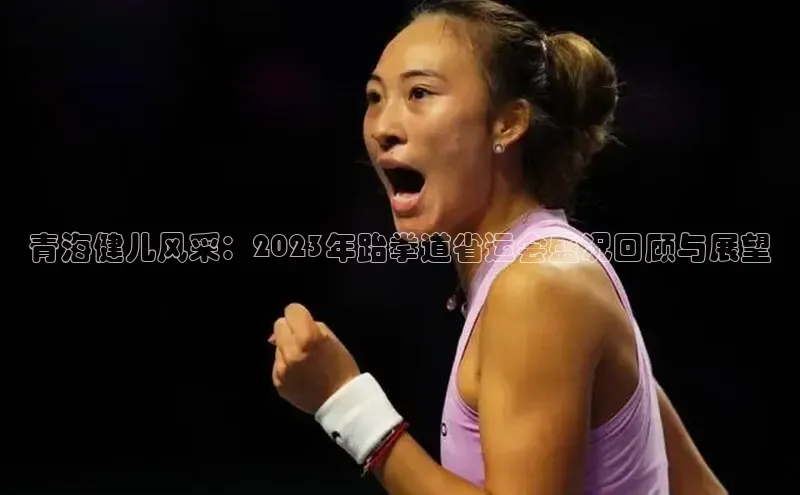 青海健儿风采：2023年跆拳道省运会盛况回顾与展望