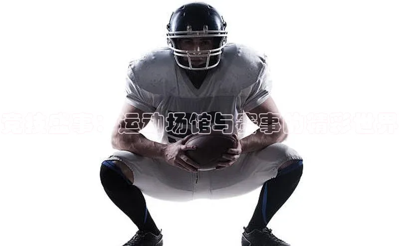 竞技盛事：运动场馆与赛事的精彩世界