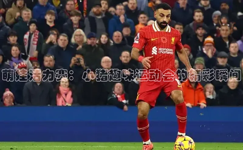 萌娃活力赛：小猪趣味运动会的精彩瞬间