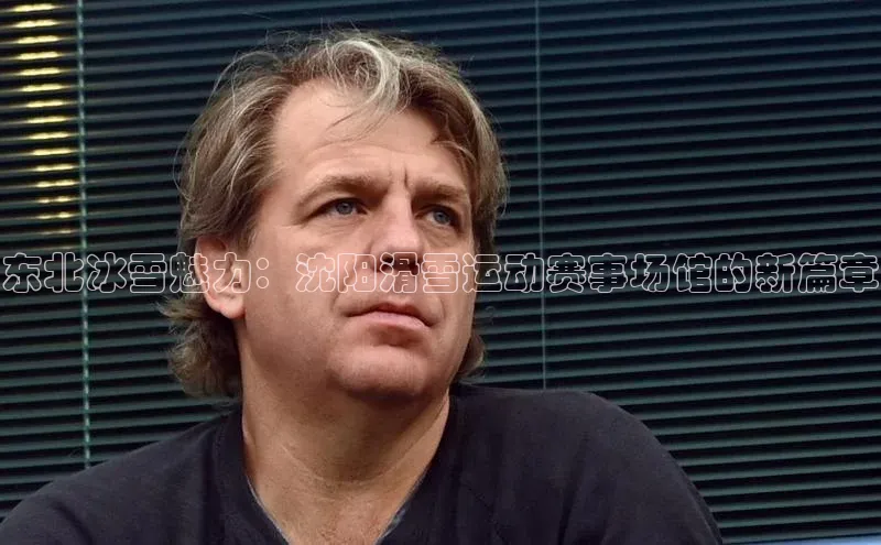 东北冰雪魅力：沈阳滑雪运动赛事场馆的新篇章