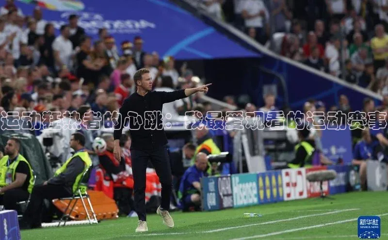 运动狂热者的心跳：我最爱观看的运动赛事