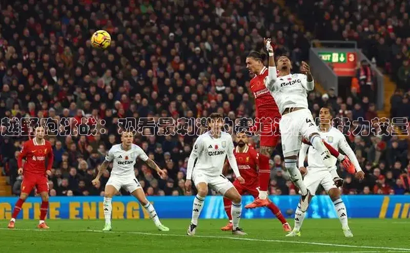 越野跑挑战：观看最刺激的赛道速度与毅力较量