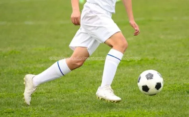 米乐yy易游下载官网