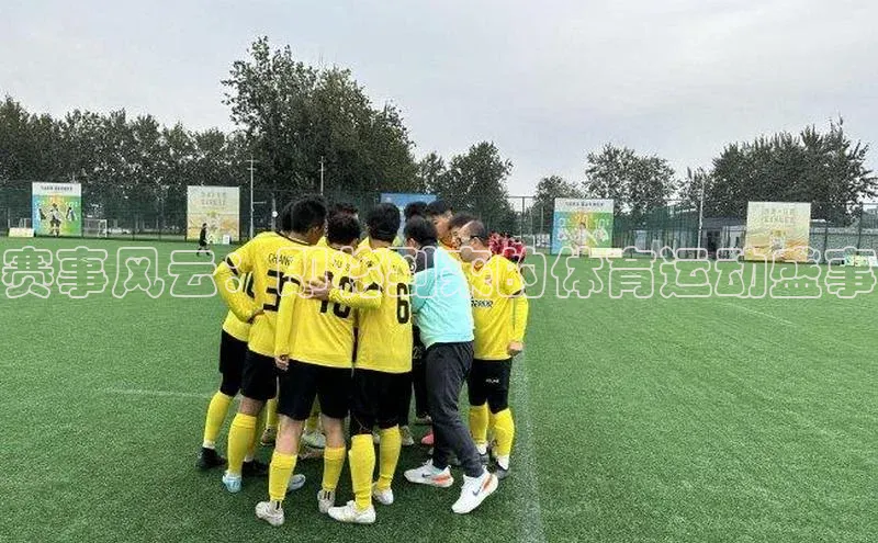 赛事风云：即将到来的体育运动盛事