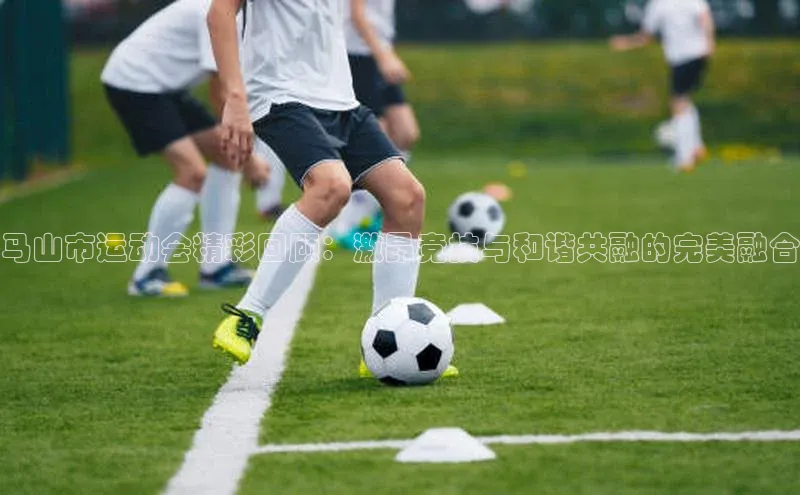 马山市运动会精彩回顾：激昂竞技与和谐共融的完美融合